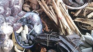 Traditional Medicine in Igbo Society: History, Healing Practices, and Enduring Cultural Significance || Nnewi City