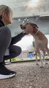 Image result for tbn:ANd9GcQasVkmZXfoFPO_D2Kgzaa-s33YvBAzlRhlWX1cD89U244Ni5sfSsUIww