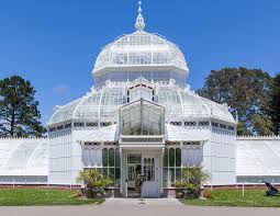 Things to do near conservatory of flowers. Inside San Francisco Golden Gate Park S Conservatory Of Flowers Curbed Sf