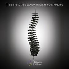 The Spine Is The Gateway To Health Getadjusted Chiropractic Chiropractor Chiropractic Care Chiropractic Chiropractic Wellness