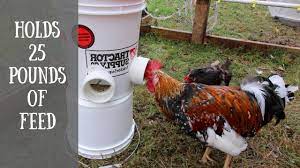 We did not find results for: Diy Automatic Chicken Feeder Easiest Way To Feed Your Chickens With A 5 Gallon Bucket Youtube