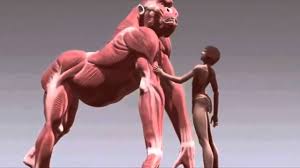 Résultat de recherche d'images pour "gigantopithèque"