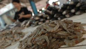 Kelompok industri kecil formal terdiri dari cabang industri agro; Industri Olahan Udang Patok Penjualan Naik 40 Persen Bisnis Tempo Co