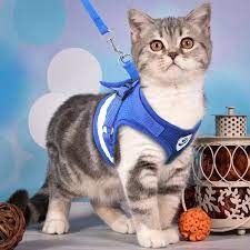 Apr 18, 2019 · itulah yang dapat kami bagikan mengenai cara menghilangkan tulisan page 1 di excel. Bagaimana Untuk Meletakkan Abah Pada Kucing 21 Gambar Petunjuk Langkah Demi Langkah Untuk Memakai Abah Abah Dan Lain Lain Jenis Harnesses Untuk Kucing