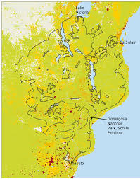 Image result for Rhynchosia pseudoviscosa