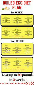 Fruit Juice Detox Diet Recipes Boiled Egg Diet Plan Egg Diet Egg Diet Plan