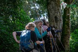 Indulgence And Luxury Vacation Tours - Kubwa Five Safaris