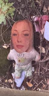 If anyone has lost their Teddy Bear or wants to Avocuddle it's underneath  the Railway Bridge near the Water Works 😂