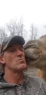 Whaley's Equine Services