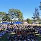 NAIDOC for JAJUMMS 2026 - Fifty Years Of Deadly