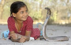 2018 new design weaved fire starter paracord bracelet survival. What A Little Charmer Indian Girl 8 Eats Sleeps And Plays With King Cobras Daily Mail Online