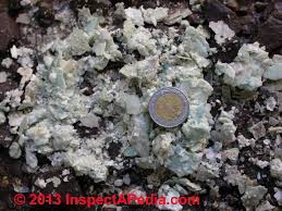 City avg hardness ppm / mg/l avg hardness grains per gallon albany 58.7 3.5 babylon 2.8 0.2 buffalo 118 7 cheektowaga 118 7 clay 152.5 9 colonie 119.8 7.1 hamburg 90 5.3 hempstead 33.3 2 avg hardness grains per gallon. How To Measure Water Hardness Water Hardness Test Kit Guide