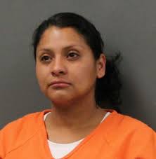 Panhandle police activity, Nov. 22