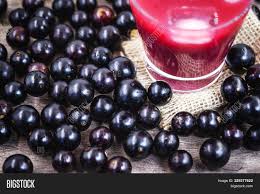 The jabuticaba is probably one if the most strange and bizarre fruit trees in the world! Glass Jabuticaba Juice Image Photo Free Trial Bigstock