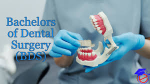 The curriculum consists of three phases that are completed over the dental and health science iii stream includes physiology and disturbance of the masticatory system, disorders of the dental hard tissue, dental. Bds Bachelor Of Dental Surgery Course Streams Fees Career