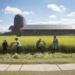 rt dontbetrue https t co 1tk3jhgue3 瑠璃 面白い画像 すじこ 4コマ漫画