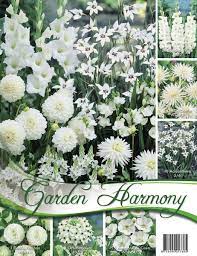 Ein völlig weißer garten, also zum beispiel: Traumgarten Garden Harmony Weisser Garten