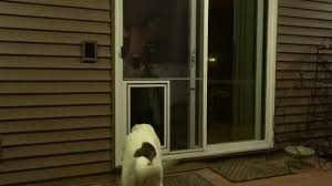 Some doors may have individual quirks. Security Boss Pet Screen Door For Sliding Screen Door Moore Pet Supplies