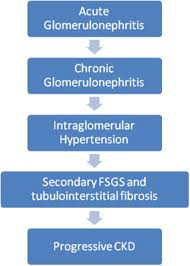 Our guidelines present recognised methods and techniques for clinical practice, based on published evidence, for consideration by obstetricians/gynaecologists and other relevant health professionals. Approach To The Patient With Chronic Glomerular Disease Sciencedirect