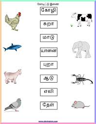 Grade 1 tamil workbook download in tamil medium published in educational publications official website. Pin By Preethe Fenelon On Teaching Tamil Kindergarten Worksheets Kids Math Worksheets Letter Worksheets For Preschool