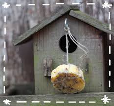 Boules De Graisses Mai Son Pour Les Oiseaux Nourriture Oiseaux Nourrir Oiseaux Graine Oiseau