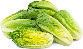 Baby Romaine Hearts Artisan Information And Facts