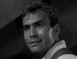 Guy Remsen's Role in Peyton Place