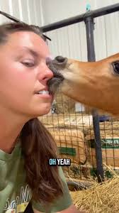 New Mare Reveal👀🐴