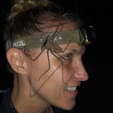 Alina Bitter (@bitter_alina)