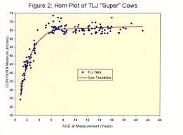 Butler Texas Longhorns Predicting Horn Growth