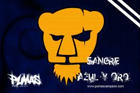 Maybe you would like to learn more about one of these? Awesome Pumas Pictures 1200x800 Wallpaper Teahub Io