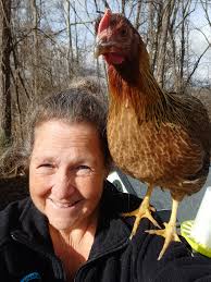 Are these roosters or hens?