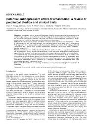 Https Www Scielo Br Pdf Rbp V40n4 1516 4446 Rbp 1516444620172393 Pdf