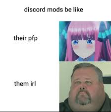 See more ideas about mood pics, haha funny, funny memes. Funny Pfp Funny Anime Pfp 43 Ideas Hubcentricringsbmw