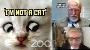 I am not a cat. the coronavirus has prompted many computer mishaps, as many of the world's workers adapt to working from. Zoom Cat Lawyer I M Not A Cat Know Your Meme