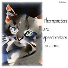 Looking for the best wallpapers? Cute Cat Imgur