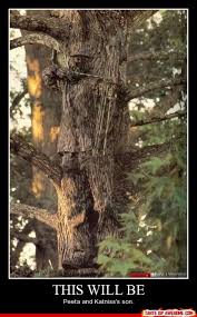 Funny Pictures 491 Dump A Day Hunger Games Hunger Games Fandom Hunger Games Humor