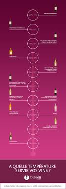 Infographie Quelle Temperature De Service Pour Chaque Vin Vin Carte Des Vins Citation Vin