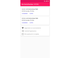 Iccid (integrated circuit card identifier) identifies each sim internationally. So Kennen Sie Die Seriennummer Der Sim Karte Itigic