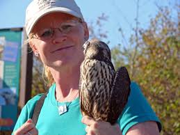 Laura's Birding Blog: Just another day at Hawk Ridge