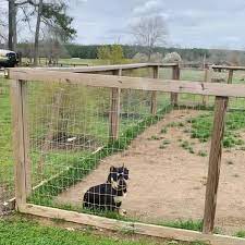 But if you still can't get enough pet content, we're on it. 3six9 Bully Shop Home Facebook