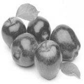 Doç.dr.çağatay öztürk, lisans öncesi eğitimlerini tamamladıktan sonra, hacettepe üniversitesi tıp fakültesi'nde başladığı tıp eğitimini başarıyla tamamlayarak 1997 yılında tıp doktoru unvanı almıştır. Intel 8086 Ile Mikroislemci Programlamaya Giris Pdf Ucretsiz Indirin