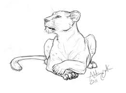 Female lion tattoo with flowers on the back. Attentive Lioness Animal Sketches Animal Drawings Animal Drawings Sketches