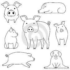 Cute Pig Doodle Drawing Set Making Various Poses Pig Drawing Pig Painting Doodle Drawings