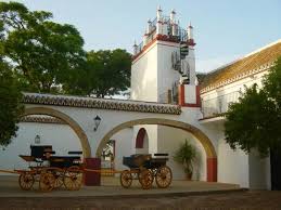 Image result for Atalaya alata