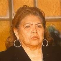 Elida D. Castillo Obituary