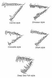 Some Of Animals Jaw And Teeth Art Tutorials Dragon Drawing Animal Drawings