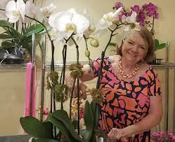 Find here details of companies selling orchids, for your purchase requirements. Orchids Can Seem Extravagant But Last A Long Time And Make A Big Statement