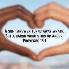 15 d a soft answer turns away wrath, but e a harsh word stirs up anger. Proverbs 15 1 New King James Version Nkjv Harsh Words Bible Apps Anger