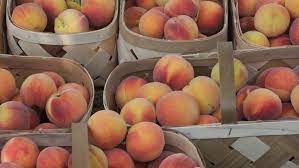 Preserving Peaches Home Garden Information Center